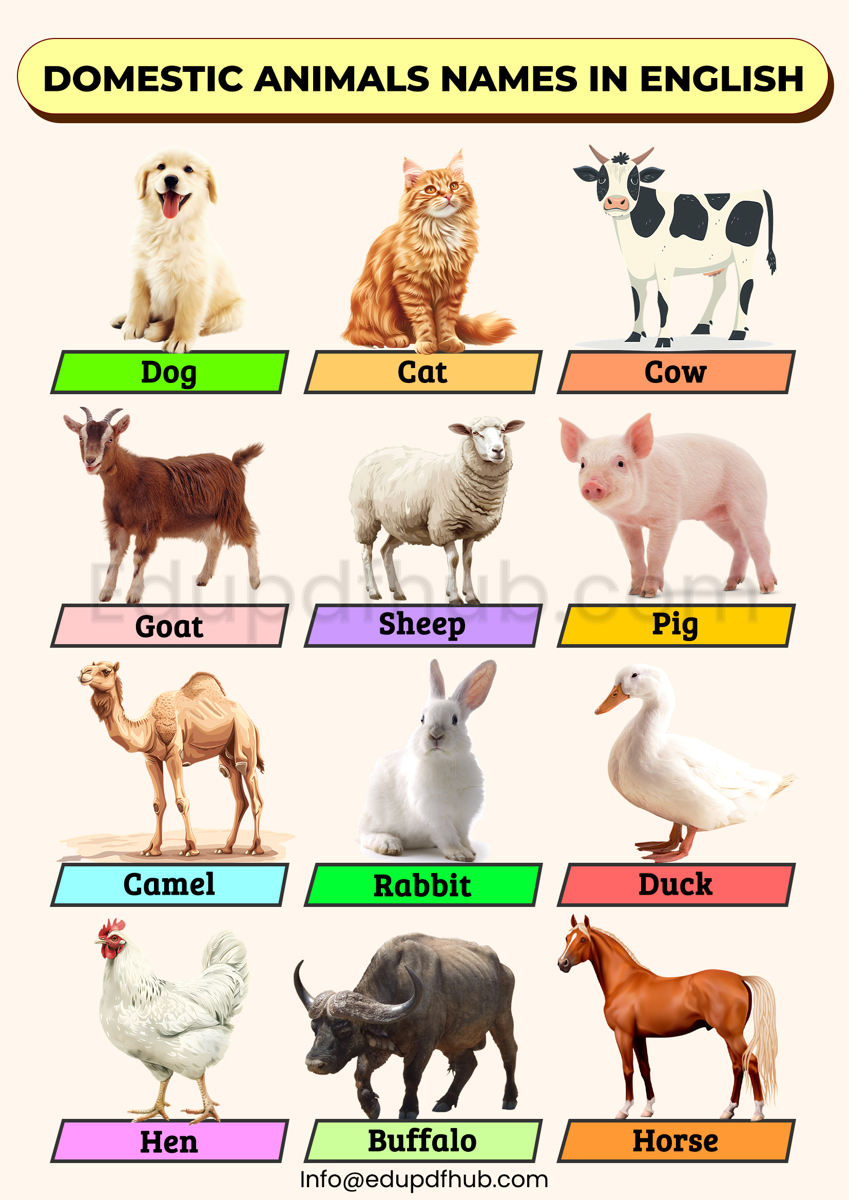 Domestic and wild Animals Names in English